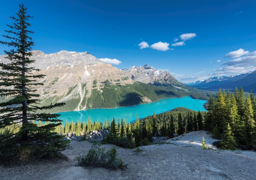 peyto lake banff