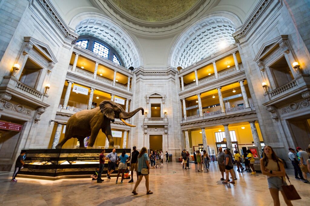 washington dc natural history museum