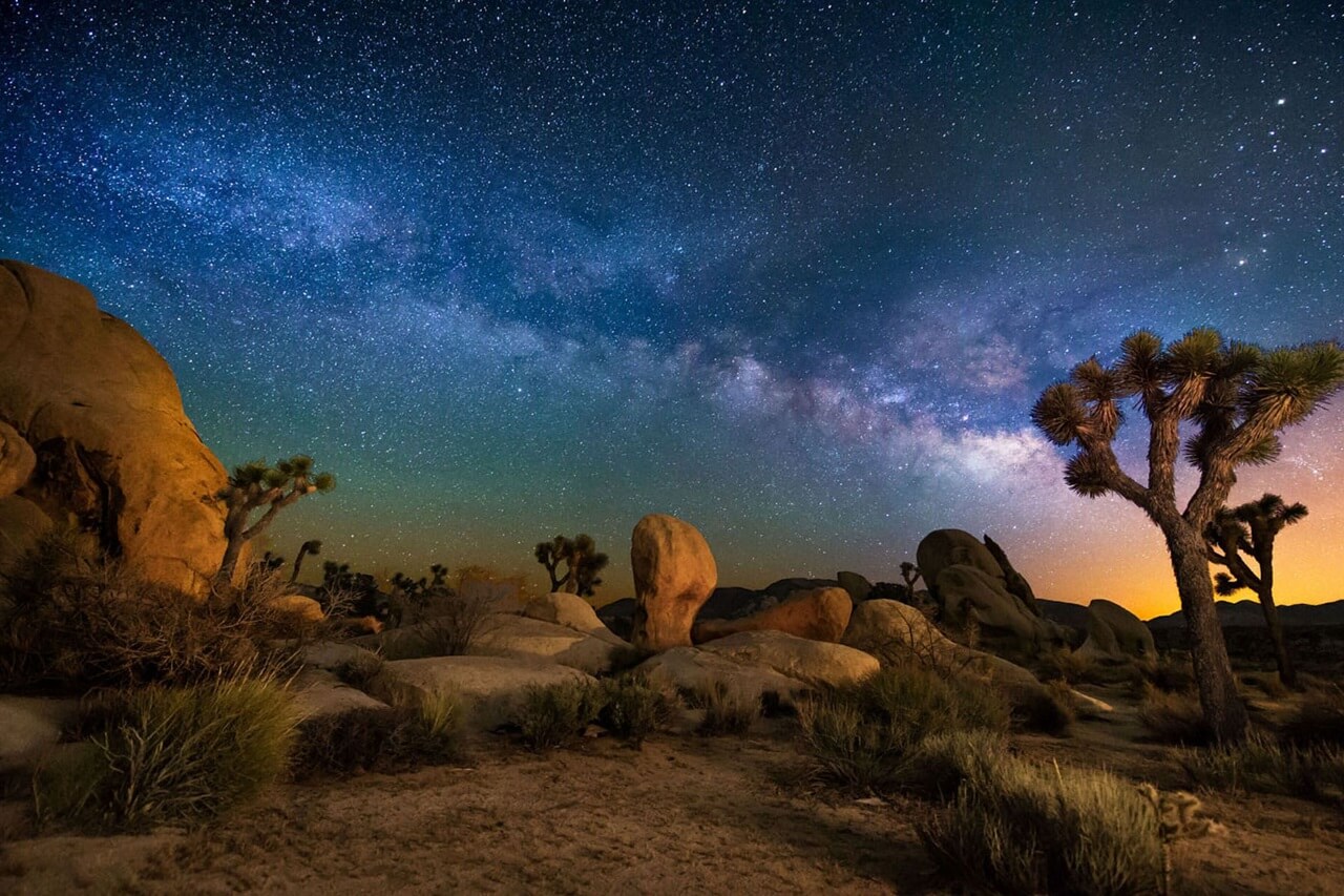 joshua tree national park