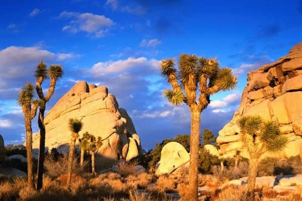 hidden valley joshua tree